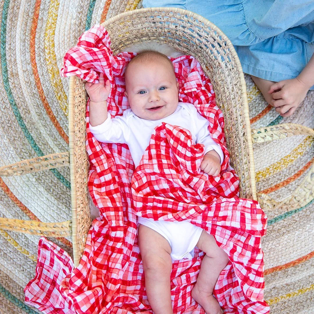 Bugs   Picnic Swaddle Set