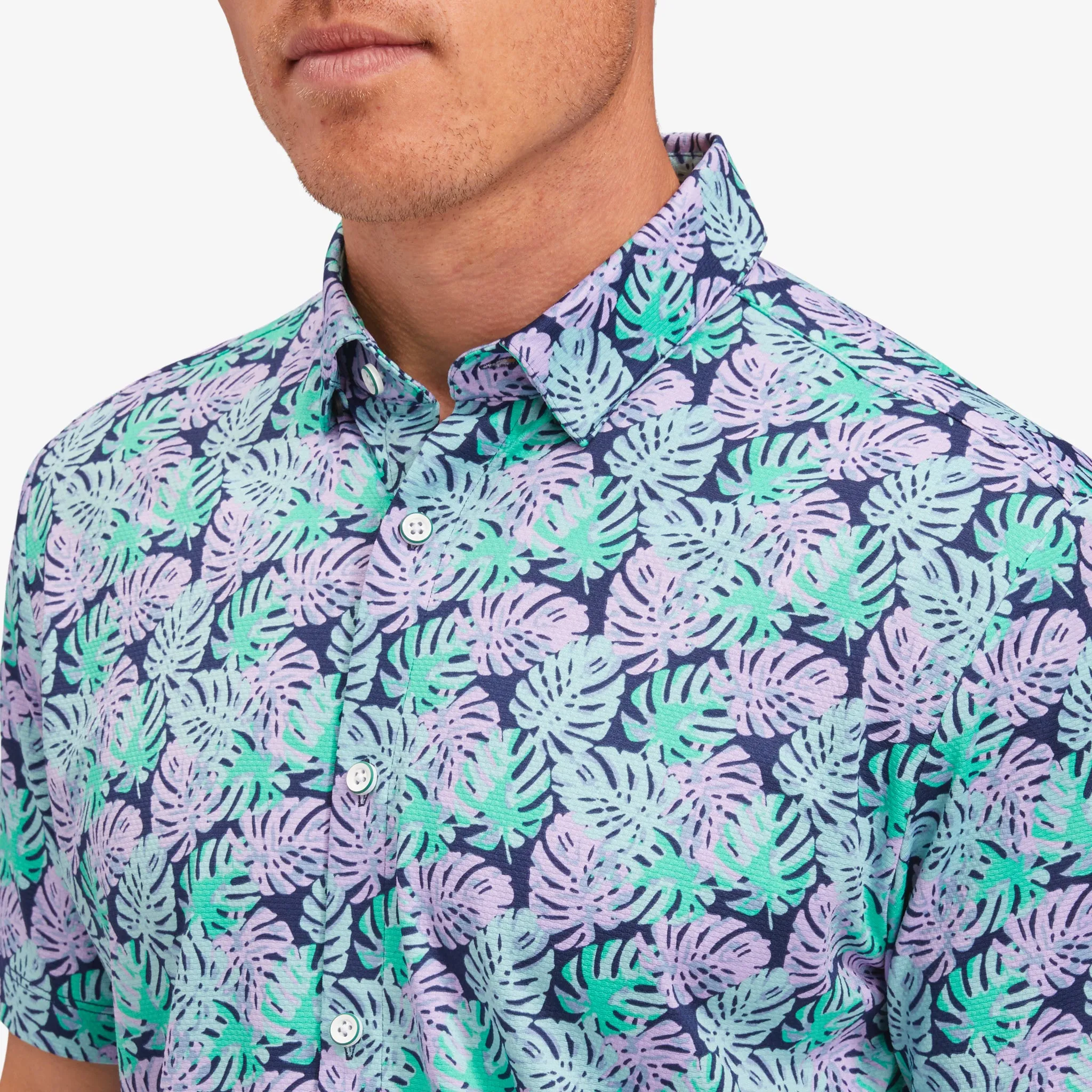 Palm Leaf Print