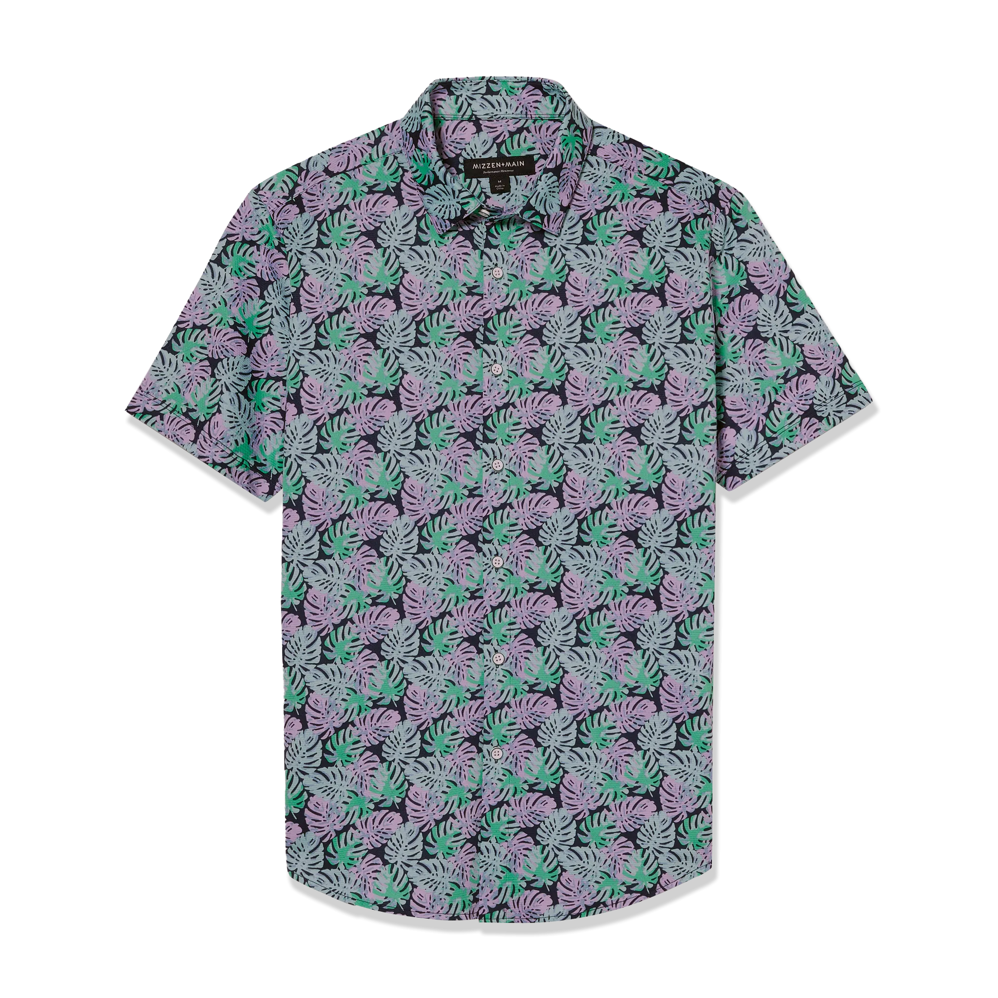 Palm Leaf Print