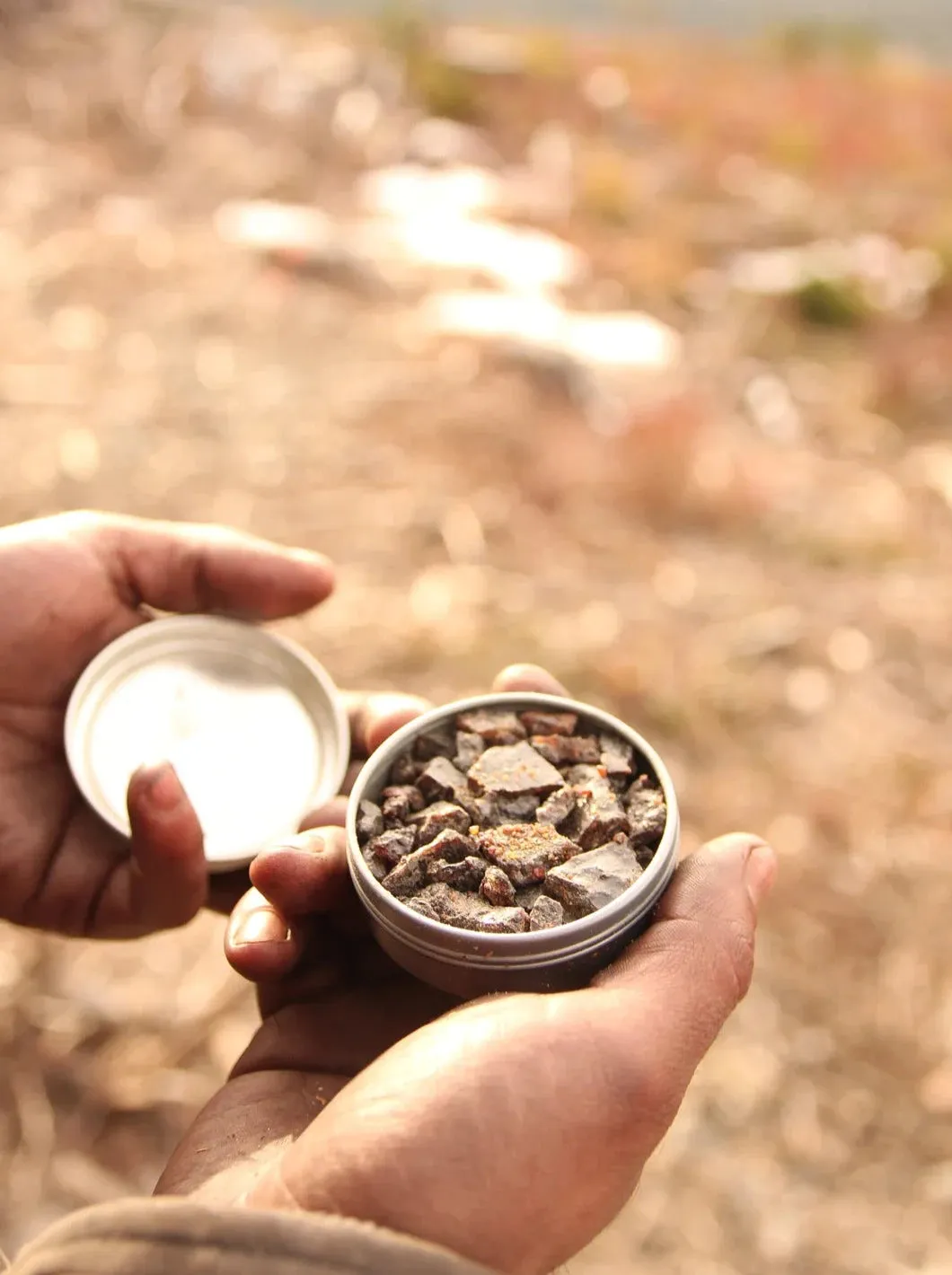 Pine Resin Infused Firestarter